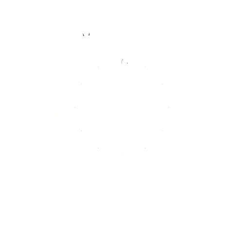 Holistic Therapy Liverpool